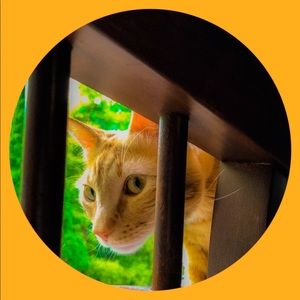 Meet your Posher, Pamela